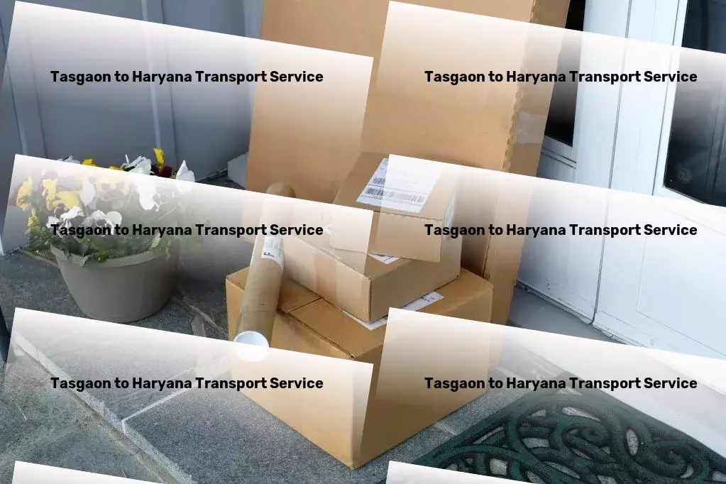 Tasgaon to Haryana Transport Pamper pets with luxury care products and services! - Personalized freight logistics