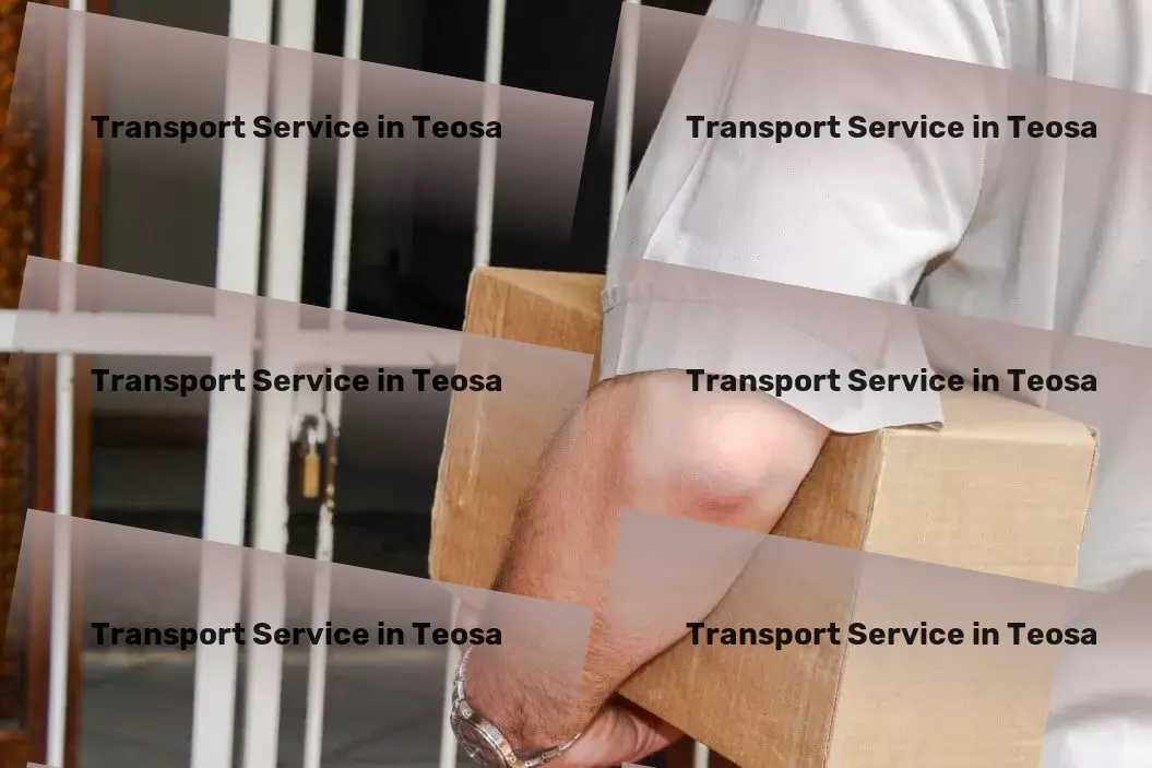 Packers And Movers in Teosa, Maharashtra (MH) Professional shipping logistics