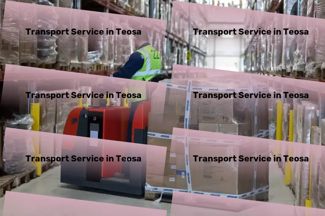 Household Goods Transport in Teosa, Maharashtra (MH) Customized cargo solutions