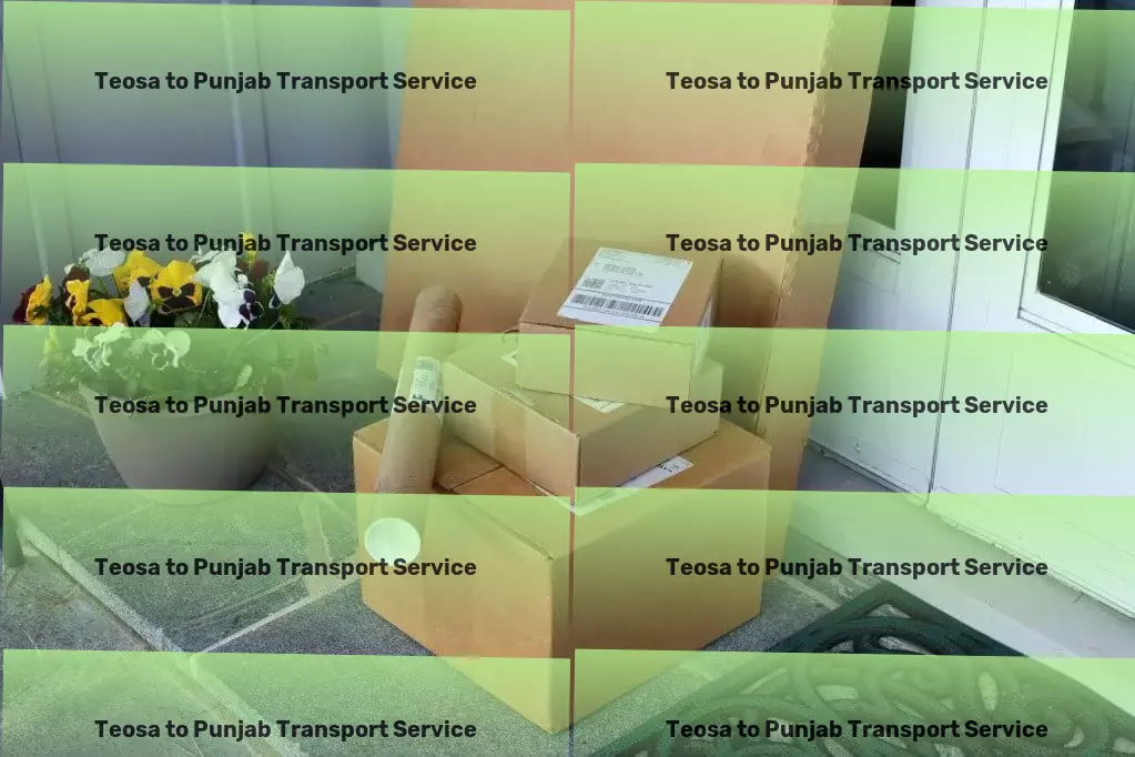 Teosa to Punjab Transport Commercial logistics provider