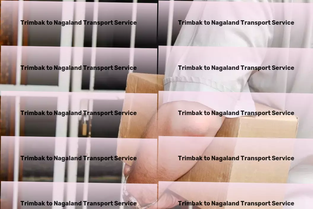 Trimbak to Nagaland Transport Nationwide goods shipment services