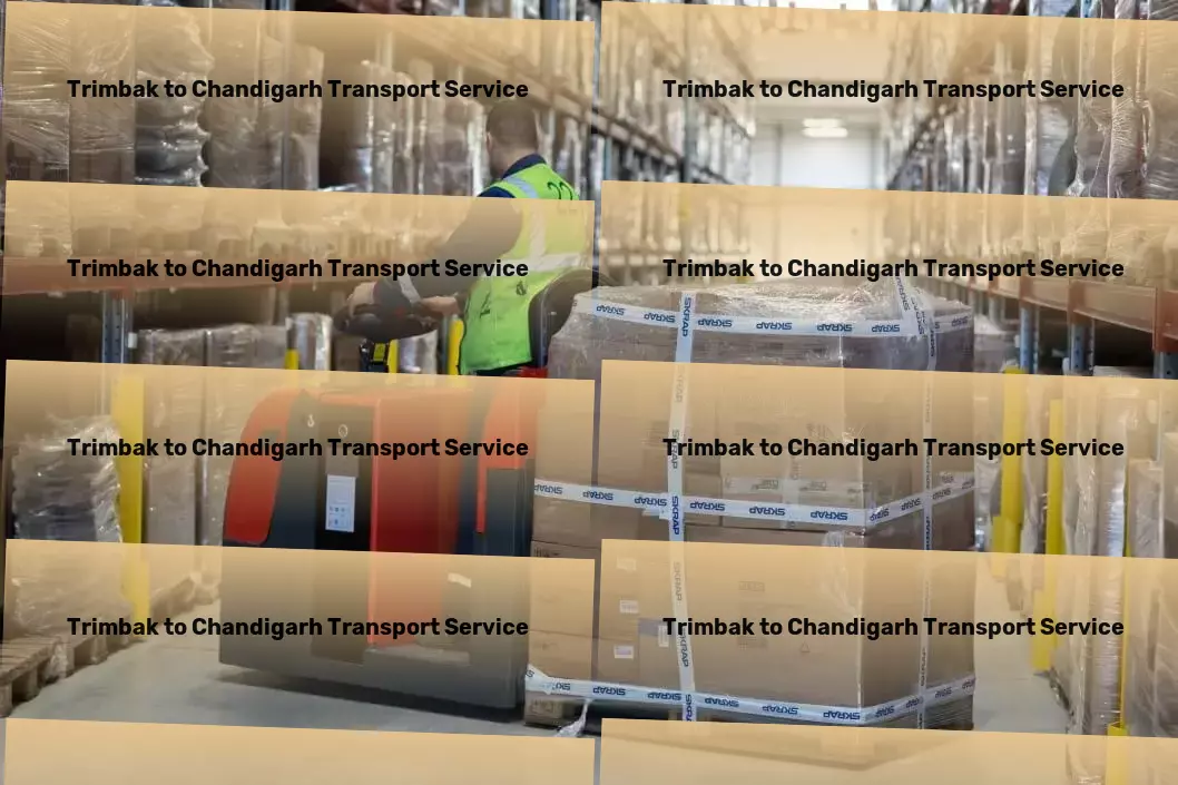 Trimbak to Chandigarh Transport Local logistics and transport