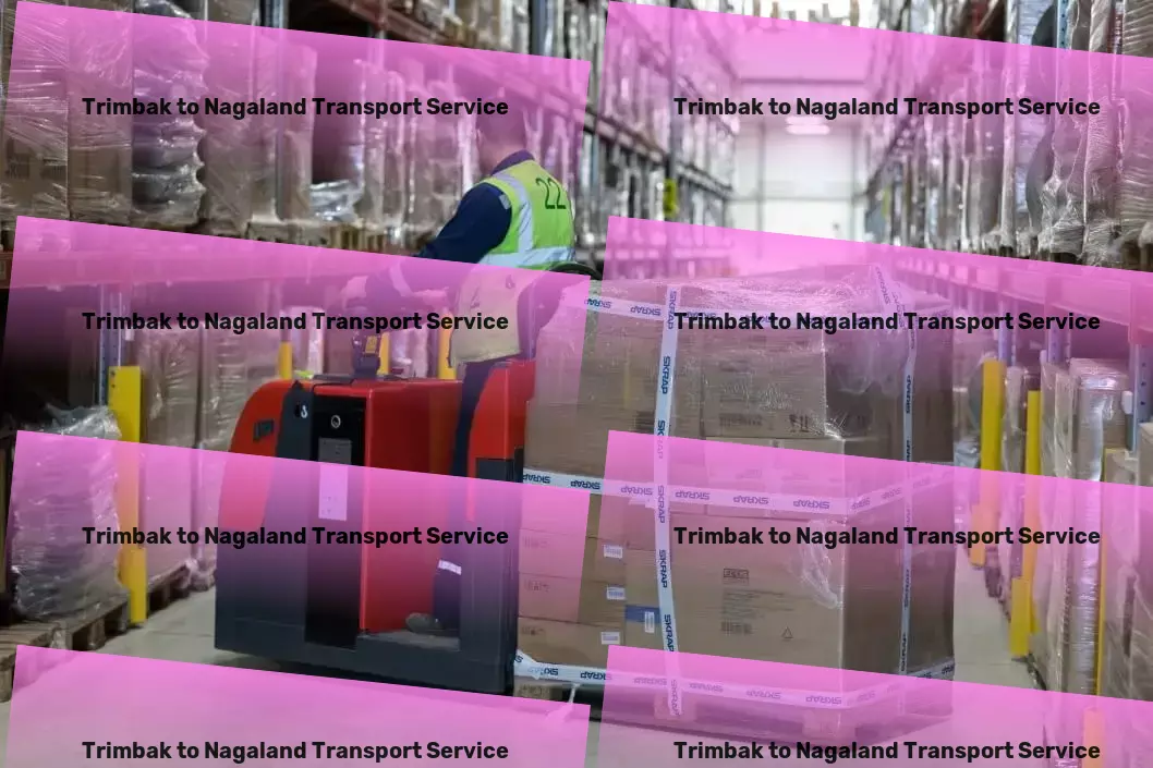 Trimbak to Nagaland Transport Efficient logistics solutions