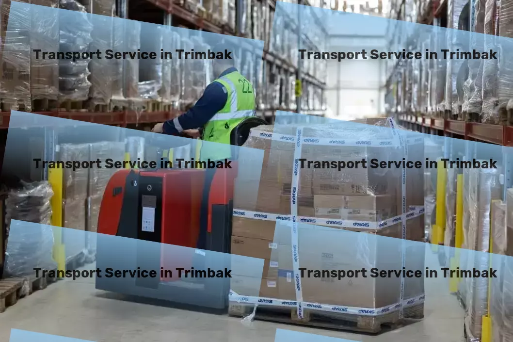 Luggage Courier in Trimbak, Maharashtra (MH) Integrated shipping solutions