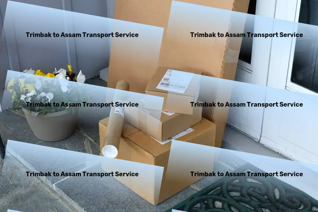 Trimbak to Assam Transport Bulk goods delivery