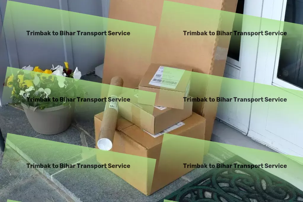 Trimbak to Bihar Transport Relocation moving services