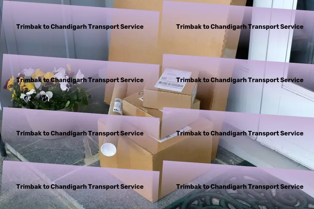 Trimbak to Chandigarh Transport Seamless and efficient - The new era of transport in India! - Efficient furniture logistics