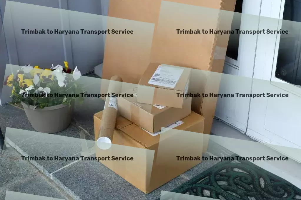 Trimbak to Haryana Transport Inter-city freight forwarding