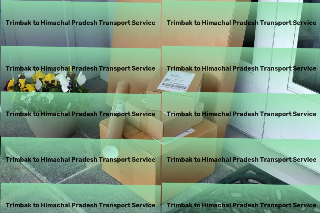 Trimbak to Himachal Pradesh Transport Upgrade your skincare routine for glowing results! - Household goods shipping