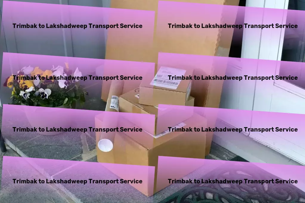 Trimbak to Lakshadweep Transport Experience joy in every journey, no matter how short! - Full-load goods transport