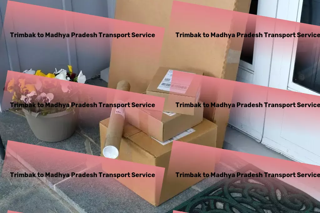 Trimbak to Madhya Pradesh Transport Long-distance transport