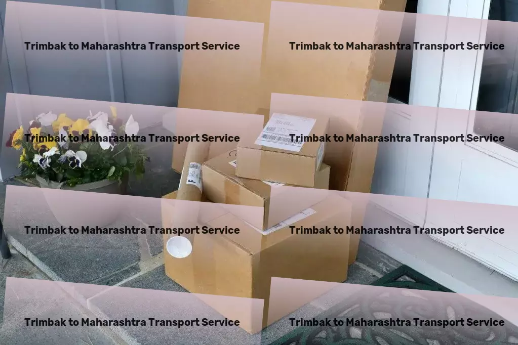 Trimbak to Maharashtra Transport Express goods transport