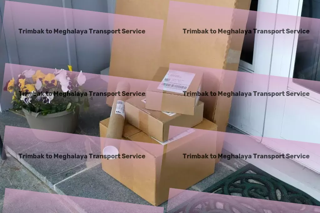 Trimbak to Meghalaya Transport Transport delivery services