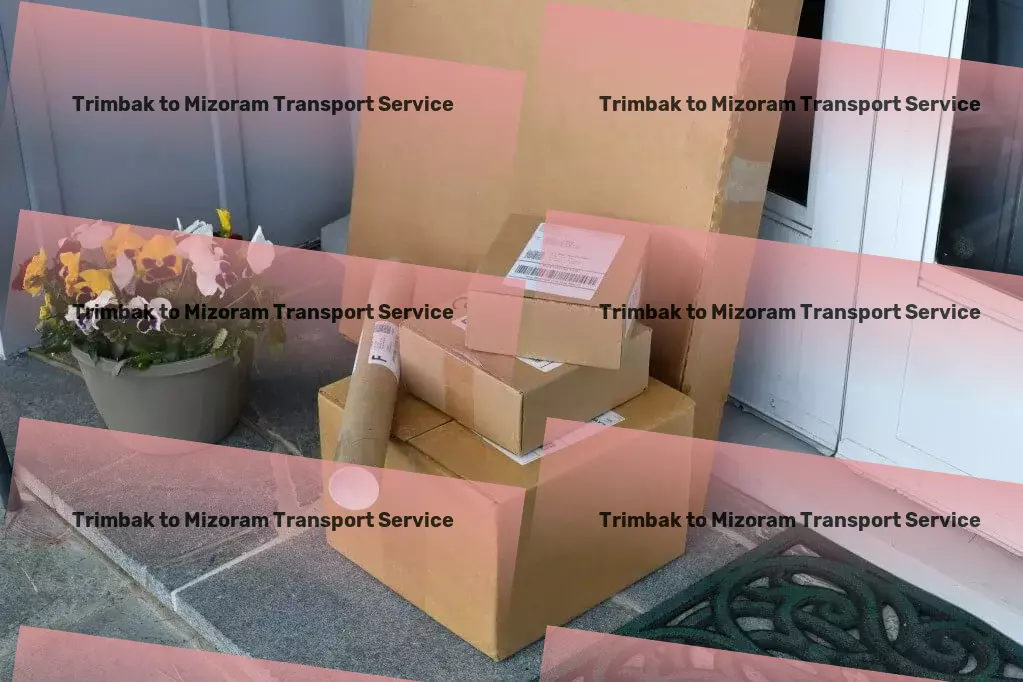 Trimbak to Mizoram Transport Specialized parcel delivery