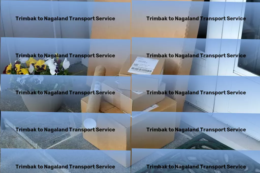 Trimbak to Nagaland Transport Seamless journeys, happier days: Our promise to you. - Advanced freight coordination