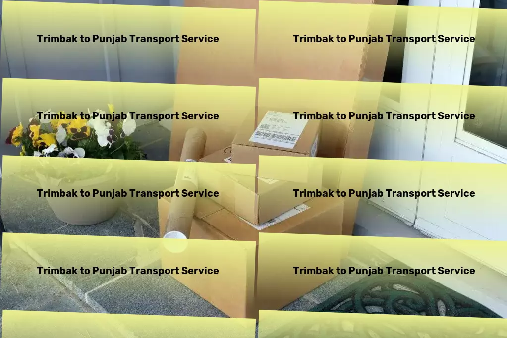 Trimbak to Punjab Transport Fast freight and logistics