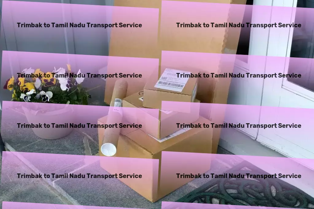 Trimbak to Tamil Nadu Transport Custom road transport