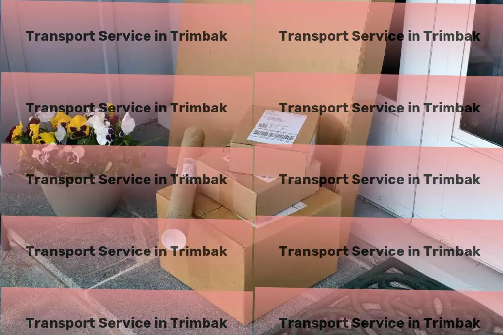 Luggage Courier in Trimbak, Maharashtra (MH) Comprehensive cargo services