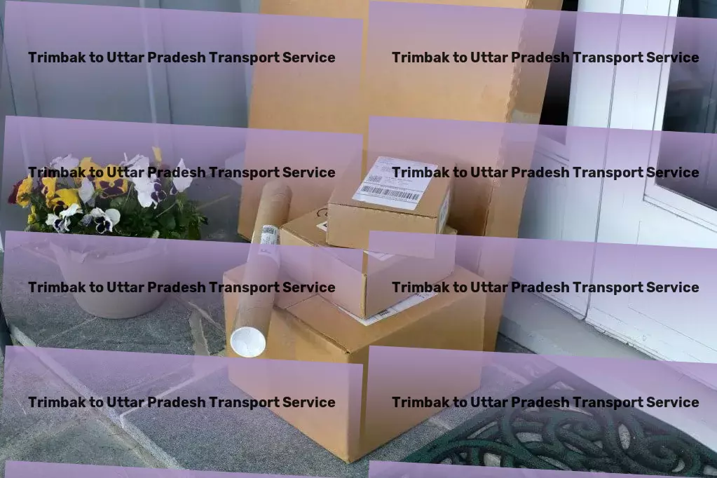 Trimbak to Uttar Pradesh Transport Nationwide packing services