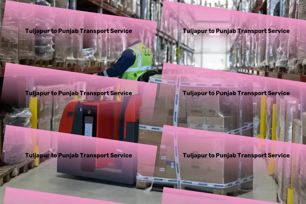 Tuljapur to Punjab Transport Express moving services