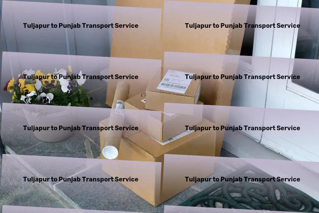 Tuljapur to Punjab Transport National goods shipment solutions