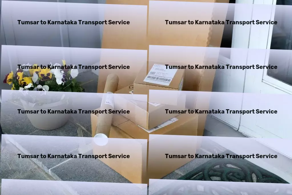 Tumsar to Karnataka Transport Professional package services