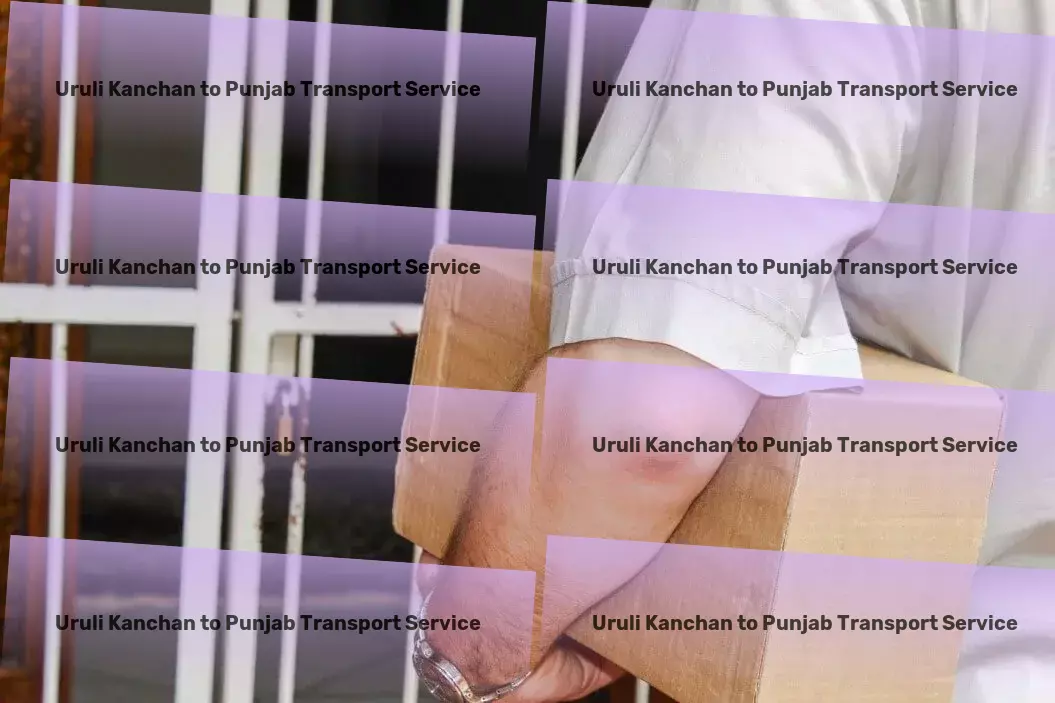 Uruli Kanchan to Punjab Transport Local logistics and shipment