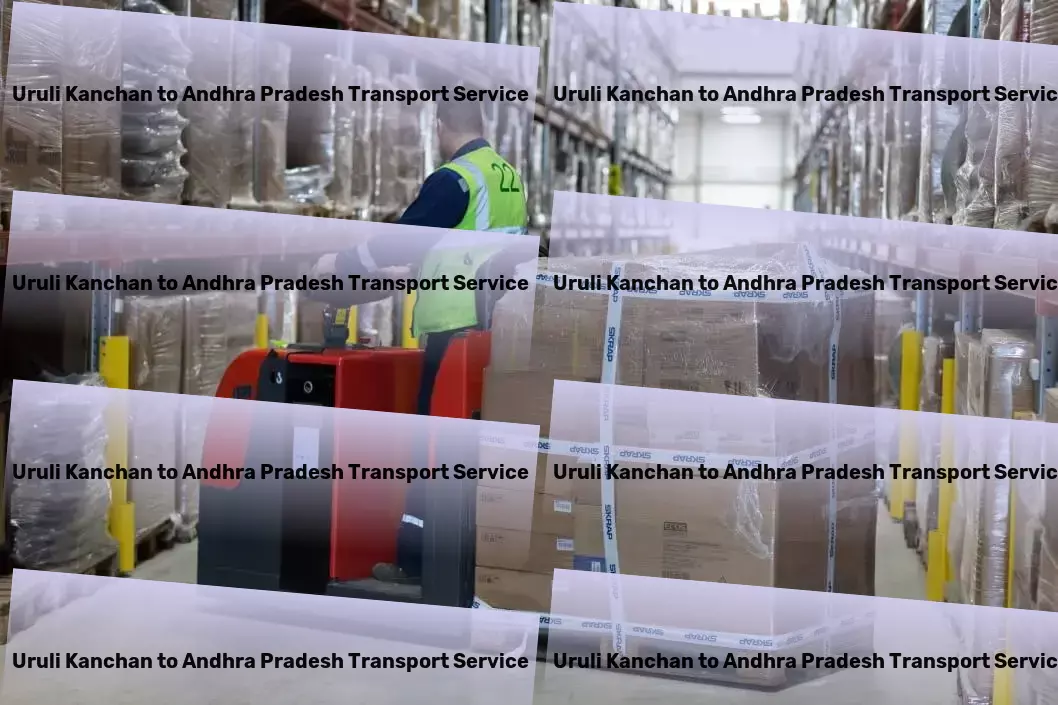 Uruli Kanchan to Andhra Pradesh Transport Customized cargo solutions